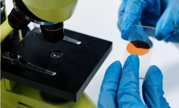 中山DNA親子鑒定中心鑒定流程是怎么樣的？2