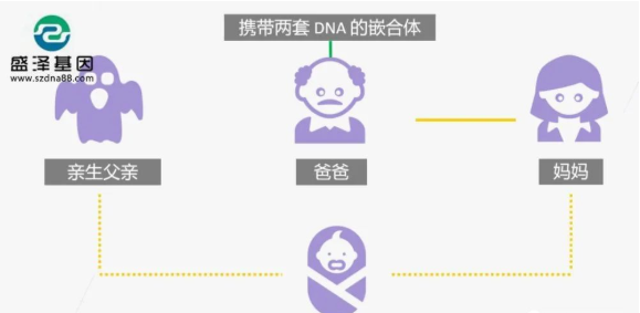 醫學怪病奇美拉現象:親自生未必是親生?你身體還住著另一個人? 醫學怪病奇美拉現象:親自生未必是親生?你身體還住著另一個人?