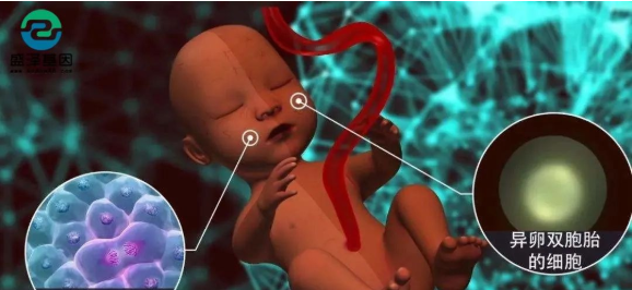 醫學怪病奇美拉現象:親自生未必是親生?你身體還住著另一個人? 醫學怪病奇美拉現象:親自生未必是親生?你身體還住著另一個人?