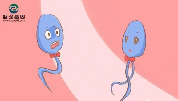 醫學怪病奇美拉現象:親自生未必是親生?你身體還住著另一個人? 醫學怪病奇美拉現象:親自生未必是親生?你身體還住著另一個人?