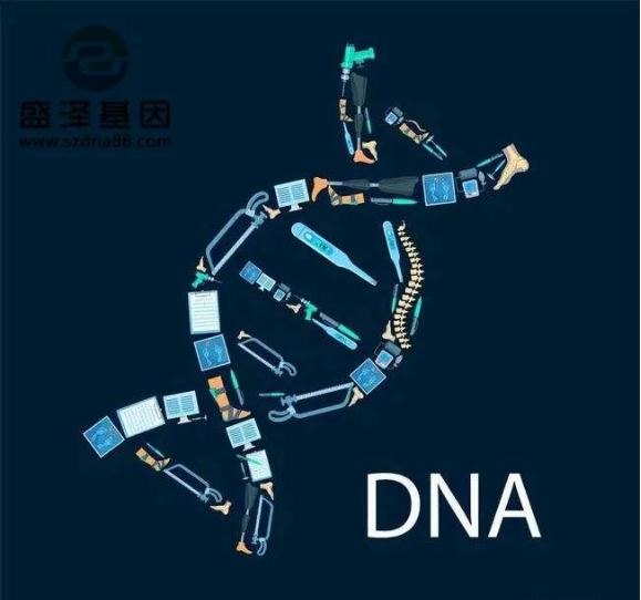 醫學怪病奇美拉現象:親自生未必是親生?你身體還住著另一個人? 醫學怪病奇美拉現象:親自生未必是親生?你身體還住著另一個人?