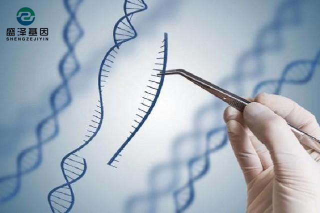 廣東男子做親子鑒定,竟發現自家雙胞胎有一個不是自己的?! 廣東男子做親子鑒定,竟發現自家雙胞胎有一個不是自己的?!