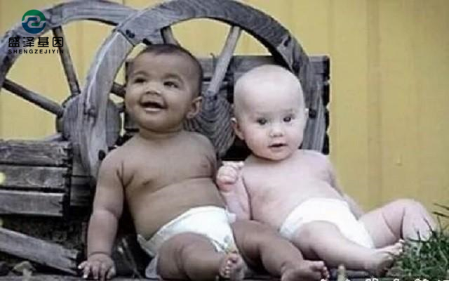廣東男子做親子鑒定,竟發現自家雙胞胎有一個不是自己的?! 廣東男子做親子鑒定,竟發現自家雙胞胎有一個不是自己的?!