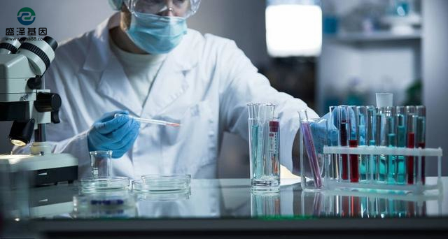 中山需要做高考升學(xué)親子鑒定的小伙伴看過來！