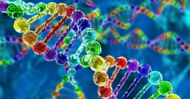 親子鑒定故事聽起來很魔幻？其實現(xiàn)實生活遠比電視劇來的精彩！