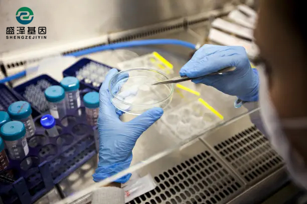 中山做親子鑒定本人不去可以檢測樣本嗎？