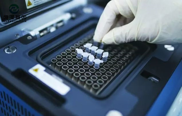 中山司法親子鑒定醫院咨詢：醫院做親子鑒定掛什么科？