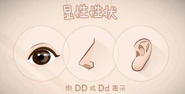 親子鑒定到底是個(gè)啥？怎么個(gè)鑒定法？