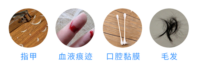 懷孕多久可以做無創胎兒親子鑒定樣本采集？