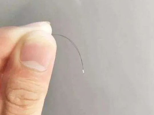 【科普】毛發(fā)親子鑒定樣本為什么一定要帶根部毛囊？