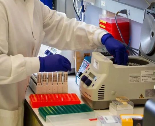 人員如何快速采樣？鑒定機構對收到的親子鑒定樣本負責