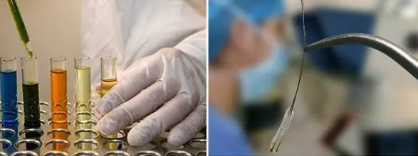 【科普】毛發(fā)親子鑒定樣本為什么一定要帶根部毛囊？