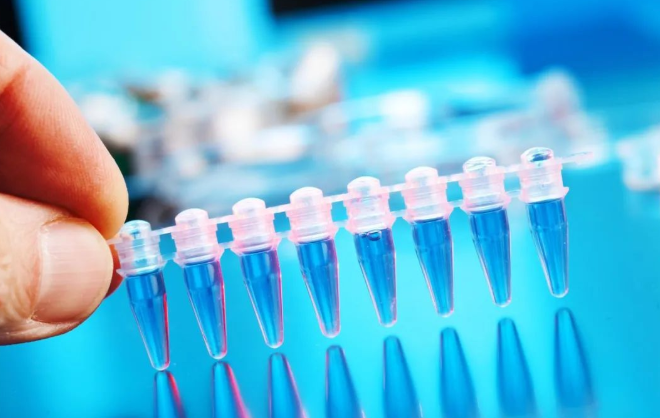 怎樣悄悄地做口香糖親子鑒定樣本采集，不讓別人知道？