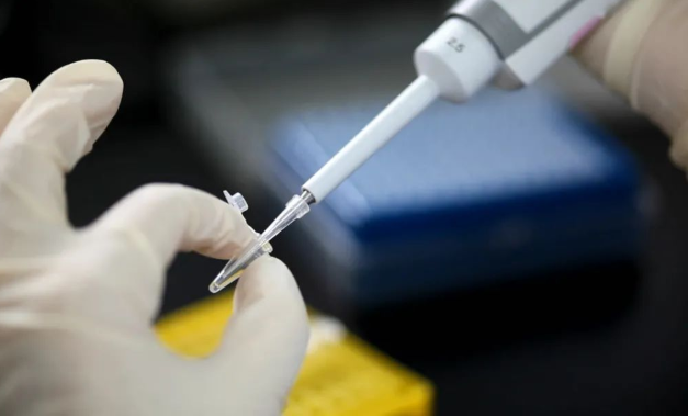 如何推算懷了誰的孩子？無創胎兒親子鑒定準確率可靠嗎？