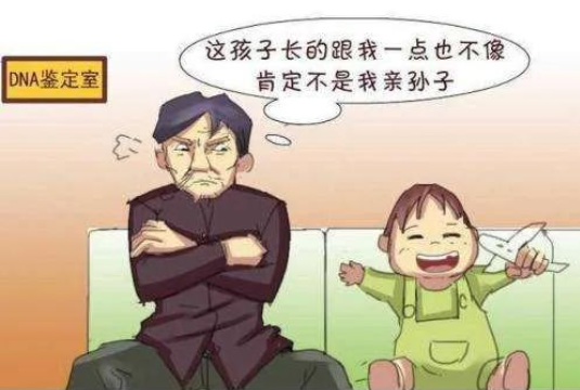 透過現象看本質，親子鑒定者折射出的是忠貞與道德的信任危機！