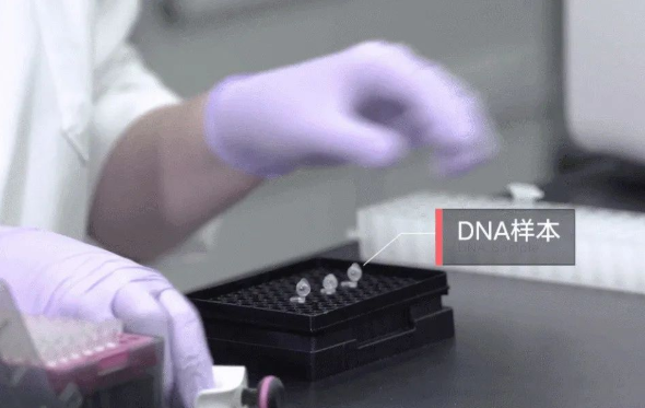 郵寄親子鑒定樣本準(zhǔn)不準(zhǔn)確？鑒定結(jié)果會(huì)不會(huì)出錯(cuò)？