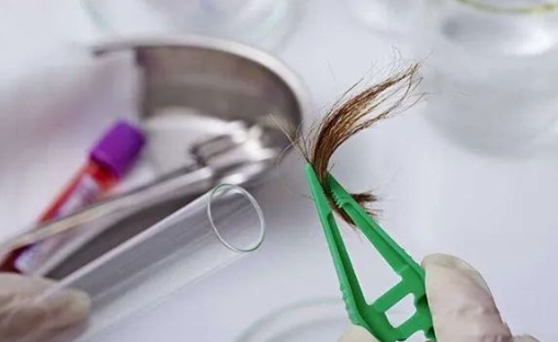 煙頭、血痕、毛發，做親子鑒定用哪些樣本最為準確？