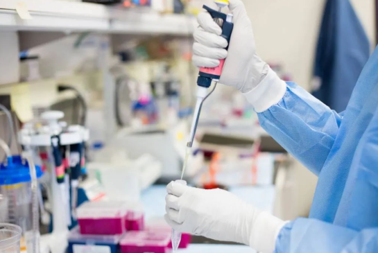 煙頭、血痕、毛發，做親子鑒定用哪些樣本最為準確？