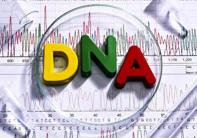 染色體遺傳：親子鑒定就是看血型么？