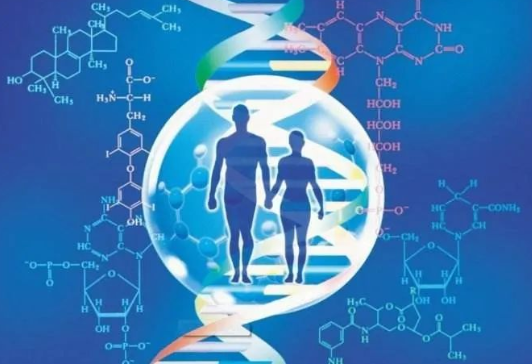 親子鑒定中心是如何做出血緣關系鑒定結果的？