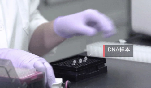 做親子鑒定需要申請嗎?如何親子鑒定? 做親子鑒定需要申請嗎?如何親子鑒定?