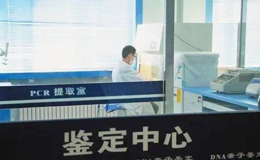 親子鑒定證明非婚生子法院會判決離婚嗎？可以要求過錯方賠償嗎？