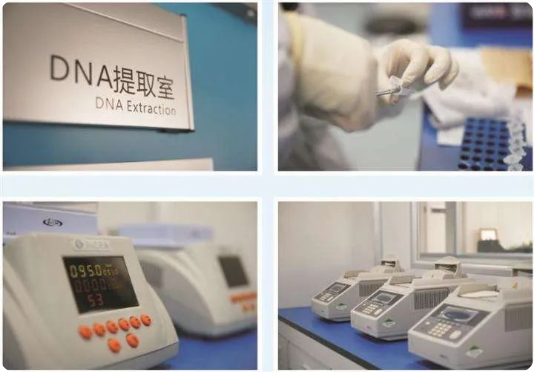 女方網友：父子倆血型一樣親子鑒定就是親生的嗎？