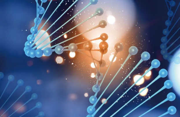 通過血型能否看出孩子是不是親生的？關于染色體親子鑒定準確率