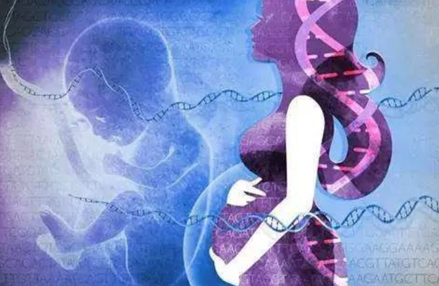 孕媽沈女士求助:懷孕胎兒親子鑒定準確嗎? 孕媽沈女士求助:懷孕胎兒親子鑒定準確嗎?