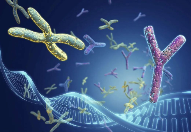 兄妹之間可以做親子鑒定嗎？兄弟之間可以做親緣關系鑒定嗎？