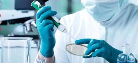 隱私親子鑒定與司法親子鑒定，到底怎么選？