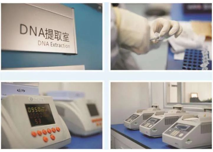 委托人一般在哪里做隱私親子鑒定？本中心保障隱私準(zhǔn)確