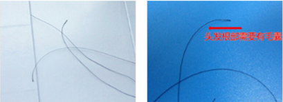 個人隱私親子鑒定樣本采集辦理需要哪些手續(xù)？