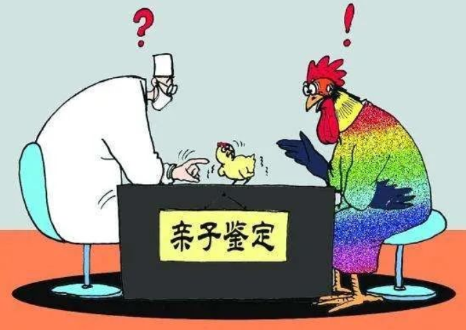 親子鑒定人數逐年上升，透過現象看本質：親子鑒定折射信任危機