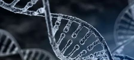 做親子鑒定血液如何釆取？