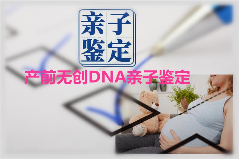 中山正規(guī)親子鑒定中心地址在哪里？