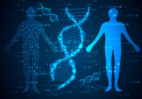 個人委托做中山胎兒親子鑒定所需樣本介紹
