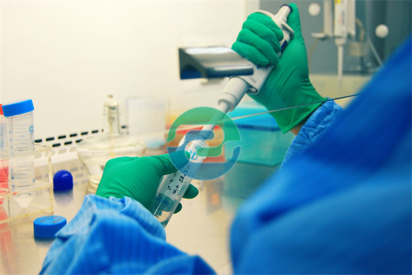 那些&ldquo;秘密進(jìn)行中山親子鑒定&rdquo;的人呢？