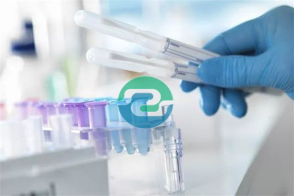 辦理中山親子鑒定時(shí)應(yīng)注意什么？