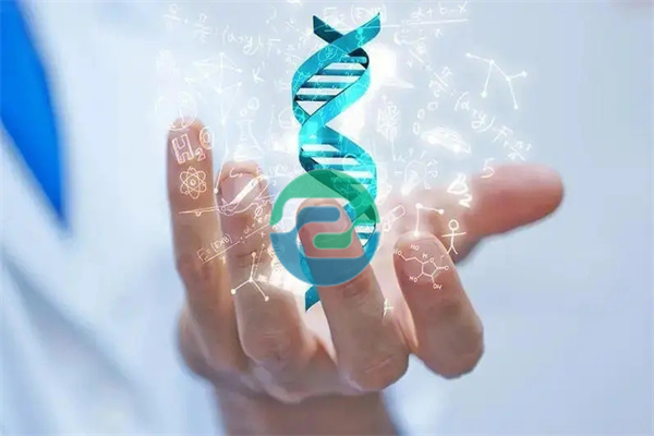 中山親子鑒定在內(nèi)地與香港之間的人口流動(dòng)中發(fā)揮關(guān)鍵作用