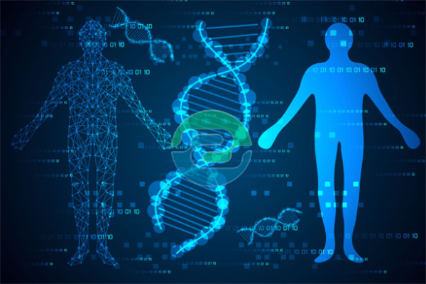 中山親子鑒定為什么準(zhǔn)確率不是100%？