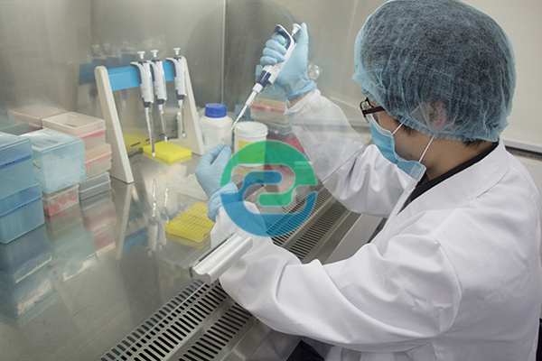 怎么偷偷做中山dna親子鑒定？