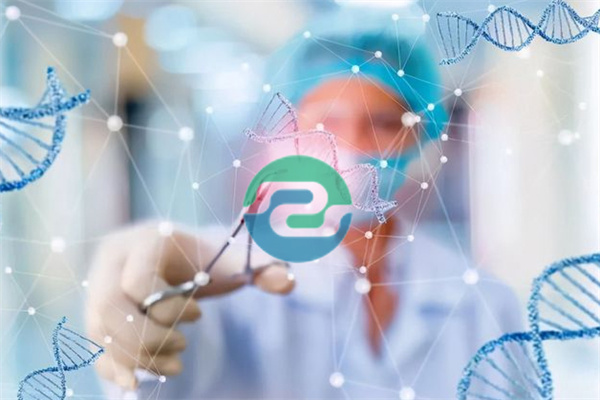 選擇中山正規(guī)親子鑒定機(jī)構(gòu)的重要性