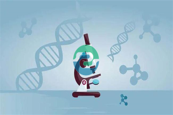 能不能偷偷做一個中山親子鑒定啊？