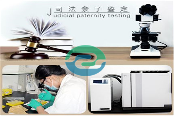講解一下中山親子鑒定的門道，讓你少走彎路！