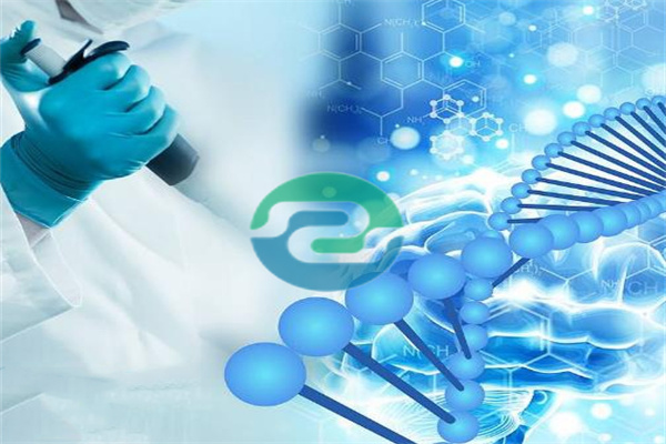 兄妹能做中山親子鑒定嗎？