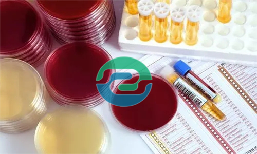 在中山做胎兒親子鑒定需要哪些證件？如何預(yù)約？