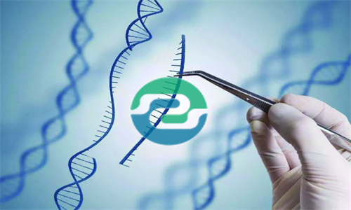 發(fā)現懷孕可以做中山親子鑒定嗎？可以保護隱私嗎？