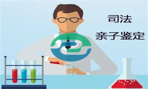 中山親子鑒定要花多少錢？盛澤基因
