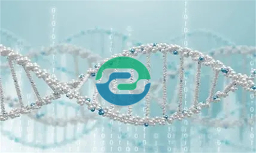 中山親子鑒定是一個強有力的工具